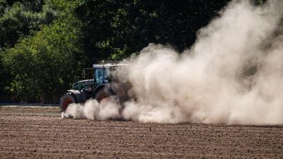 Bild: Daniel Karmann/dpa
In den vergangenen Tagen hat es geregnet, doch die Monate der Trockenheit zuvor bescheren den Bauern Ernteeinbußen. (Symbolbild)