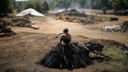 Bild: Khalil Hamra/AP/dpa
Yakoub Durak stapelt in einer Holzkohleproduktionsstätte in einem Wald in der Provinz Kocaeli Holz zu einem Haufen auf.