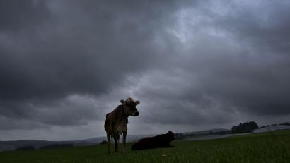 Bild: Karl-Josef Hildenbrand/dpa
Am Dienstag soll es viel Regen und einzelne Gewitter geben. (Archivbild)