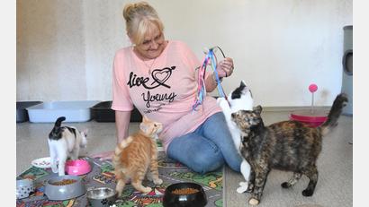 Archivbild: Gabi Schönberger
Noch leitet Jutta Böhm das Weidener Tierheim. Neben vielen anspruchsvollen Aufgaben gehört auch das Spielen mit den Katzen zu ihrem Alltag.