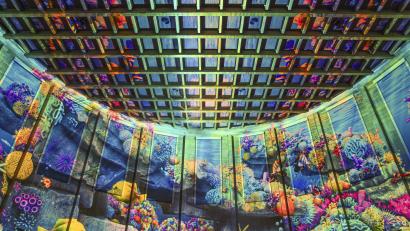 Bild: Roman Beranek
Mit „Pixel Zoo Ocean“ verwandelt sich die Schwimmhalle tagsüber in ein riesiges, digitales Aquarium.