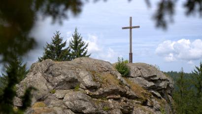 Bild: hop
Eingerahmt von Bäumen, Büschen und Wildpflanzen steht sie oben auf dem Berg – die Burgruine Wildstein.