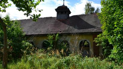 Bild: Thorsten Schreiber
Die ehemalige Kantine der Porzellanfabrik Tirschenreuth am Johann-Keiner-Weg ist ein Lost Place wie aus dem Bilderbuch. Das Privatgrundstück ist verwildert und nahezu komplett zugewachsen.