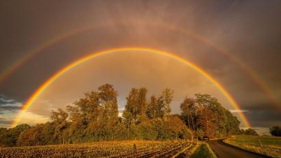 Bild: Alexander Wolf/onw-images/dpa
Ein Regenbogen strahlt im Abendlicht in Baden-Württemberg.