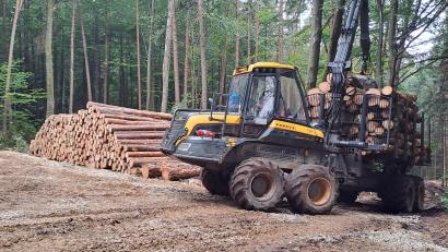 Bild: Josef Popp
Noch etwa drei Wochen werden schwere Maschinen im Archenleitener Wald mit Durchforstungsarbeiten beschäftigt sein. Dann kommen Rückepferde zum Einsatz.