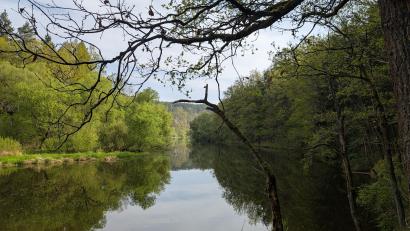 Bild: wüw
Wandern entlang der Mies: Zwischen Tachov und Stříbro zieht sich der Fluss Mže durch eine, wie Magdalena Becher sagt, "wunderschöne" Landschaft.