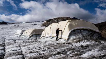 Bild: Jean-Christophe Bott/KEYSTONE/dpa
Projekt „Keep It Wool“: Schafwolle zum Schutz von Gletschern