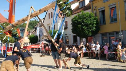 Archivbild: Rudolf Hirsch
Am Samstag wird am Wernberger Marktplatz traditionell der Kirwabaum aufgestellt.