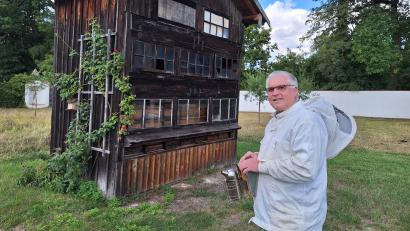 Bild: bl
Der frühere Pfreimder Bürgermeister Richard Tischler hat nun endlich mehr Zeit für die Imkerei. Er kümmert sich um insgesamt 17 Bienenvölker an mehreren Standorten, darunter auch im Klostergarten (Bild) und schleudert jährlich 250 Kilogramm Honig.