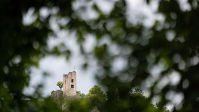 Bild: Nicolas Armer/dpa
Die Bundesstraße 470 führt an Sehenswürdigkeiten der Fränkischen Schweiz, wie der Burgruine Neideck, vorbei. (Archivbild)