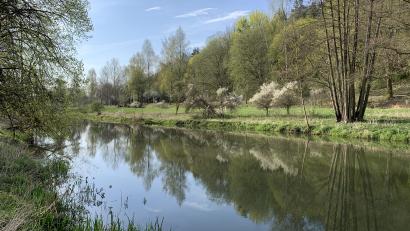 Archivbild: Naturpark Hirschwald
Das Wasserwirtschaftsamt Weiden kündigt Vermessungsarbeiten an der Vils bei Ensdorf an.