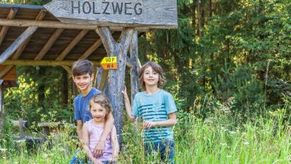 Bild: Oberpfälzer Wald, Norbert Eimer 
Auf dem Holzweg bei Eschenbach gibt es viel zu erleben.