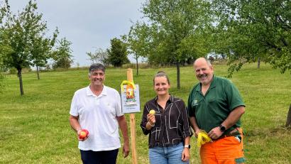 Bild: ILE Region VierStädtedreieck
ILE-Vorsitzender Edgar Knobloch, ILE-Regionalmanagerin Daniela Koslowski und Stadtgärtner Alexander Eismann beim Kennzeichnen einer Streuobstwiese in Grafenwöhr.