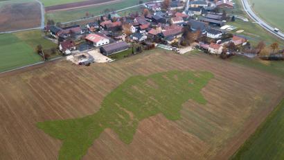 Bild: dtr
Der Karpfen bei Kleinsterz ist aus der Luft gut zu erkennen. Dabei wird aber auch deutlich, dass die Trockenheit dem Kunstwerk stark zugesetzt hat.