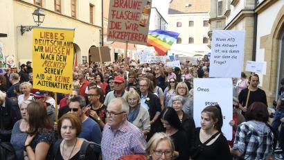 Bild: Petra Hartl
Demo im Oktober: Vom Marktplatz bis zum ACC demonstrieren laut Polizei ungefähr 300 Leute gegen die AfD.