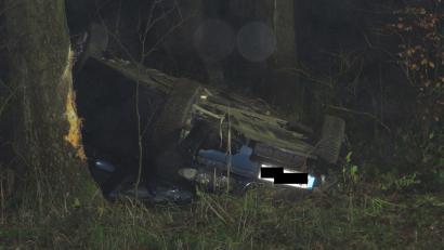 Bild: adj
Am Baum sind deutlich Spuren des Aufpralls zu erkennen.