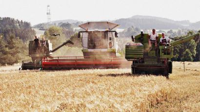 Bild: exb
Drei Generationen auf einem Feld: in Pleisdorf (Windischeschenbach) im Landkreis Neustadt/WN rücken im Juli drei Landwirte mit Mähdreschern aus verschiedenen Jahrzehnten aus.