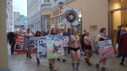 Bild: gib
Aufmerksamkeit war ihnen sicher: In Unterwäsche marschierten Tierschützer durch die Regensburger Altstadt, um gegen den Handel und Kauf von Pelz zu demonstrieren.