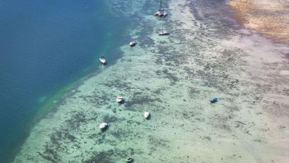 Bild: Marius Bulling/onw-images/dpa
Boote liegen im flachen Wasser am Ufer des Bodensees.