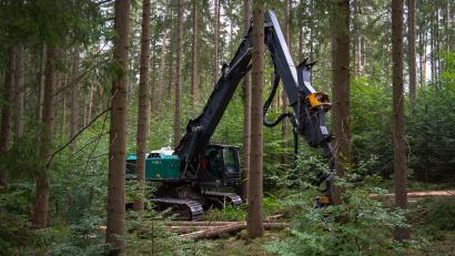 Bild: Erik Glaubitz
49 Tonnen schwer, 260 PS stark: Der Harvester wird vom Forstbetrieb Flossenbürg in alten Waldbeständen eingesetzt. Er kann starke Bäume gezielt und schonend aus dem Bestand entnehmen.