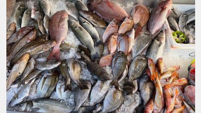 Bild: Alexia Angelopoulou/dpa
Frischen Fisch erkennt man unter anderen an den klaren, glänzenden Augen.