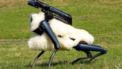 Bild: Max Lametz/dpa
Robo-Schaf auf der Halde Hoheward im Ruhrgebiet