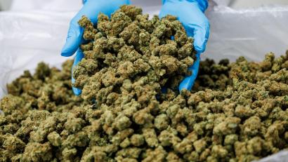 Bild: Daniel Karmann/dpa
Importe von Medizinal-Cannabis steigen stark. (Archivbild)