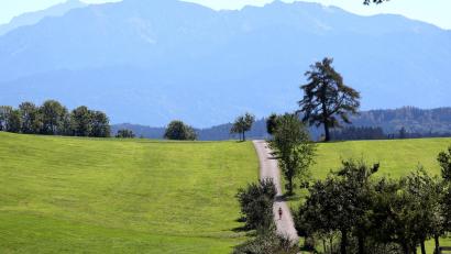 Bild: Karl-Josef Hildenbrand/dpa
Bestes Spätsommerwetter herrschte in vielen Teilen Bayerns zum Schulstart.