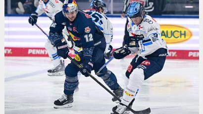 Bild: Sven Hoppe/dpa
Geht es für München und Ingolstadt wieder in die Playoffs - und dann vielleicht erneut gegeneinander? (Archivbild)