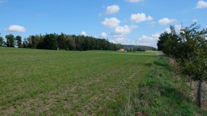 Bild: Robert Dotzauer
Auf 5,5 Hektar bisher landwirtschaftlich genutzter Fläche entsteht bei Metzenhof nahe der Truppenübungsplatzgrenze ein Sonnenkraftwerk mit 11.000 aufgeständerten Solarmodulen.