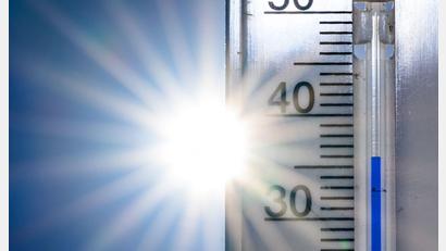 Bild: Patrick Pleul/dpa
Im Juni knackten die Temperaturen in Deutschland Rekorde. (Symbolbild)