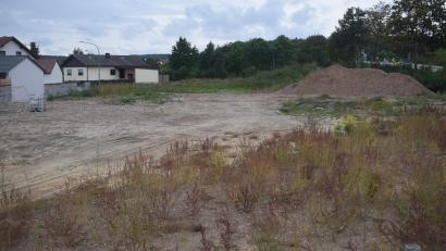 Bild: Richard Braun
Noch gibt es wenig Bewegung am Baugelände für die Wohanlage "Wohnpark am Miesberg" in Schwarzenfeld. Dies könnte sich schon bald ändern.