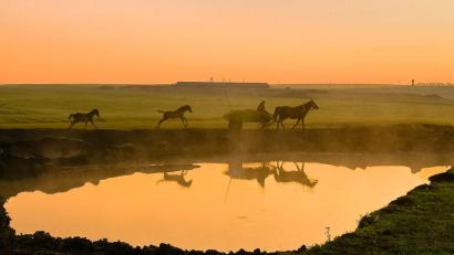 Bild: Fotodesign Gerd Dollhopf
Landschaftsaufnahme bei Nowo Ichsanowo, Bashkortostan.