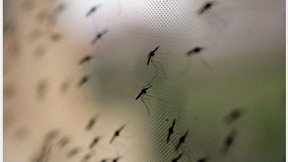 Bild: Stephen Morrison/epa/dpa
Auch in Bayern ist Flughafen-Malaria möglich, wenn auch unwahrscheinlich. (Symbolbild)