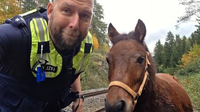 Bild: Polizeiinspektion Sulzbach-Rosenberg
Tierischer Einsatz für den Sulzbach-Rosenberger Polizeihauptkommissar Stefan Masson: Er musste bei Kauerhof ein Pony vom Bahngleis führen.