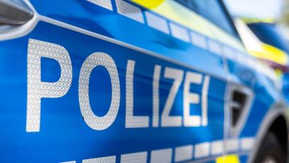Bild: David Inderlied/dpa
Eine junge Katze ist bei Pegnitz in ein verbotenes Tellereisen geraten. (Symbolbild)