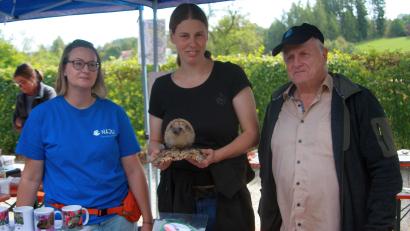 Bild: Werner Robl
Katrin Kolb, Ramona Schröppl und Konrad Zier (von links) vom Landesbund für Vogelschutz beleuchteten unter anderem auch das Problem von Mährobotern als Gefahr für Igel in den Gärten.