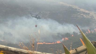 Bild: colprensa / Akt. Bifu/Colprensa/dpa
Hunderte Einsatzkräfte sind an der Bekämpfung der Flammen beteiligt.