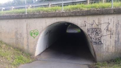 Bild: Stadt Eschenbach
Immer wieder Graffiti: Diese Unterführung in Eschenbach gehört zu den betroffenen Orten.