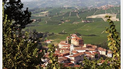 Bild: Bernhard Krieger/dpa-tmn
Der Barolo aus der Umgebung der gleichnamigen Gemeinde gehört zu den berühmtesten Weinen der Welt. (Archivbild)