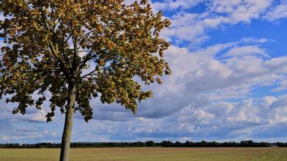 Bild: Patrick Pleul/dpa
Vielen Menschen in Deutschland stehen sonnige Herbsttage bevor.