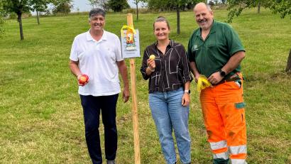 Bild: ILE Region VierStädtedreieck
ILE-Vorsitzender Edgar Knobloch (links), ILE-Geschäftsführerin Daniela Koslowski (Mitte) und Stadtgärtner Alexander Eismann (rechts) beim Kennzeichnen einer Streuobstwiese.