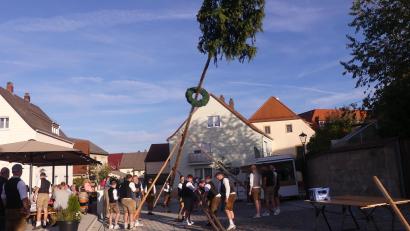 Bild: Walther Hermann
Ein 24 Meter hoher Kirchweihbaum ziert den Platz vor dem Pfarrheim.