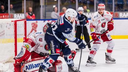 Bild: Werner Moller
Michael Regush legt in dieser Szene den dritten Treffer der Blue Devils Weiden am Sonntagabend gegen die Eispiraten Crimmitschau auf. Der 28-Jährige avancierte mit seinen drei Assists zum Matchwinner.