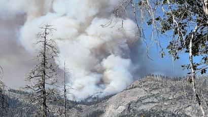 Bild: Uncredited/National Parks Service/AP/dpa
Die Umweltschäden durch Waldbrände sind immens. (Archivbild)