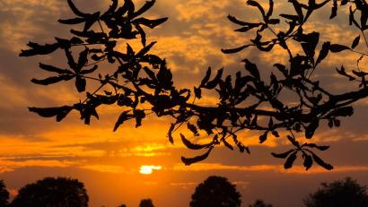 Bild: Patrick Pleul/dpa
Sonnenuntergang Ende September