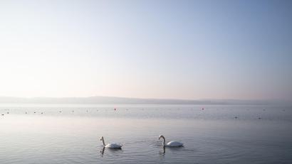 Bild: Philipp von Ditfurth/dpa
Der Bodensee ist für die Jahreszeit ungewöhnlich warm. (Symbolbild)