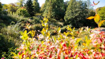 Bild: Laszlo Pinter/dpa
Im Süden Deutschlands werden Höchstwerte um die 23 Grad erwartet.