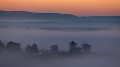 Bild: Karl-Josef Hildenbrand/dpa
Die Woche startet herbstlich mit Nebel. (Archivbild)