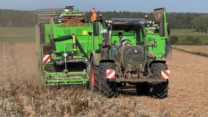 Bild: san
Staubtrocken waren die Äcker den ganzen Sommer über, staubtrocken sind sie auch im Herbst, wenn für Familie Trummer aus Hahnbach die Haupternte ihrer Kartoffeln läuft.